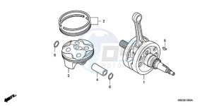 CRF150R9 Europe Direct - (ED) drawing CRANKSHAFT/PISTON