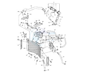 FZ8-N 800 drawing RADIATOR AND HOSE