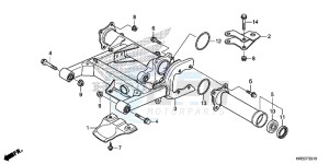 TRX420FM1F TRX420 Europe Direct - (ED) drawing SWINGARM