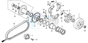 PK50S WALLAROO drawing CLUTCH/DRIVEN FACE