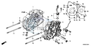 MSX125E MSX125 UK - (E) drawing CRANKCASE