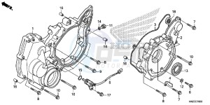 TRX500FPAE TRX500FPA Europe Direct - (ED) drawing REAR CRANKCASE COVER