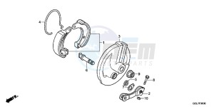 CRF50FD CRF50F Europe Direct - (ED) drawing FRONT BRAKE PANEL