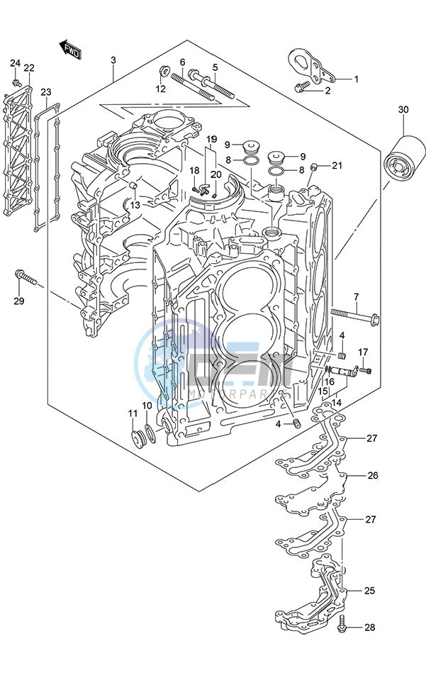 Cylinder Block (DF 250S)