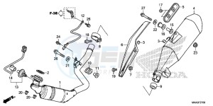 NC750XAG NC750X Europe Direct - (ED) drawing EXHAUST MUFFLER