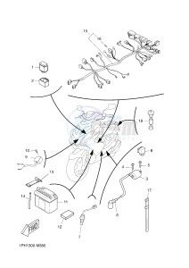 NS50 NITRO (1PH2) drawing ELECTRICAL 2