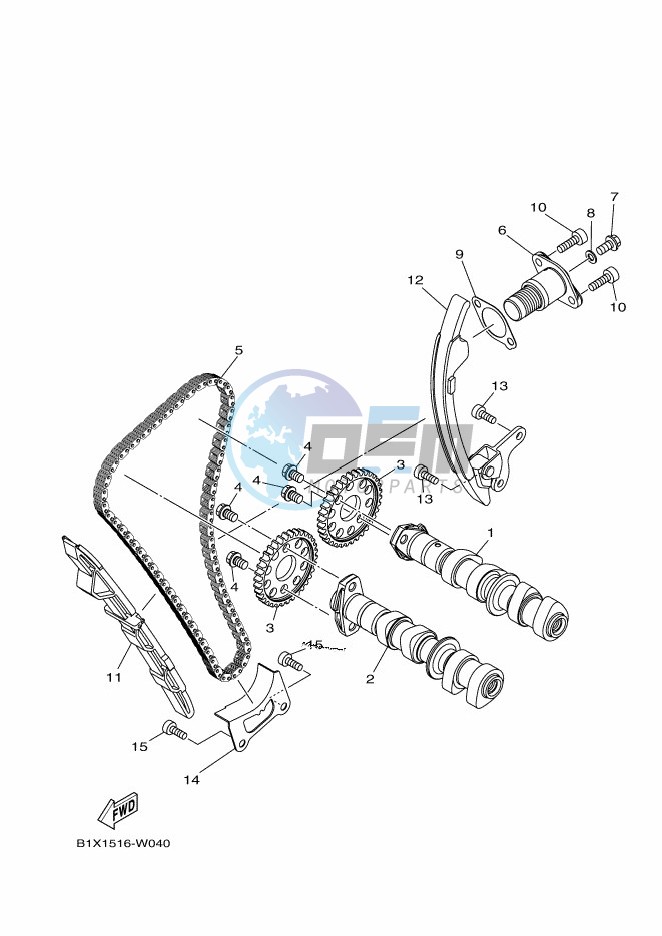 CAMSHAFT & CHAIN