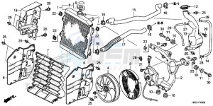 TRX420TE1H Europe Direct - (ED) drawing RADIATOR