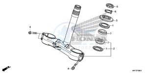 CBR1000S1H 2ED - (2ED) drawing STEERING STEM