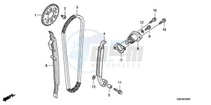 CRF150RB9 Europe Direct - (ED / T19) drawing CAM CHAIN/TENSIONER