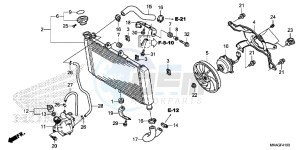 NC750SDG NC750X Europe Direct - (ED) drawing RADIATOR