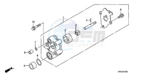 TRX500FPE9 Australia - (U / PS) drawing OIL PUMP