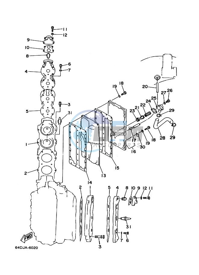 CYLINDER--CRANKCASE-2