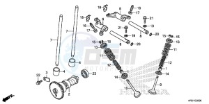 TRX420FM2H Europe Direct - (ED) drawing CAMSHAFT/VALVE