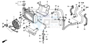 SH125 drawing RADIATOR