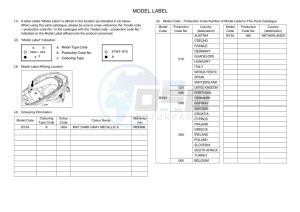 CZD300-A XMAX 300 (BY34) drawing Infopage-5