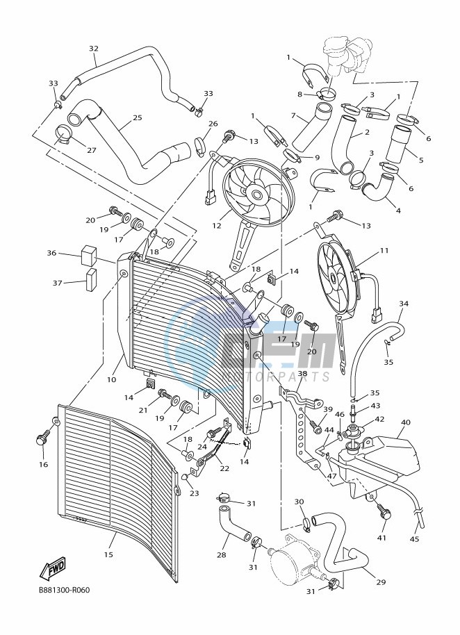 RADIATOR & HOSE