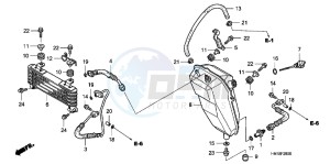 TRX400XC drawing OIL COOLER