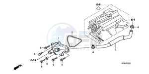 TRX420FMA Australia - (U / 4WD) drawing WATER PUMP COVER