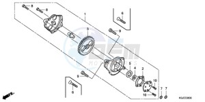 CRF100F9 Europe Direct - (ED / CMF) drawing OIL PUMP