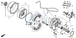 TRX500FMC ED drawing REAR BRAKE PANEL