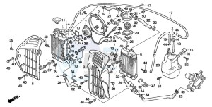 XL600V TRANSALP drawing RADIATOR