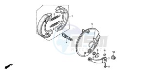 CRF70F drawing FRONT BRAKE PANEL