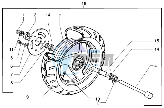 Front wheel