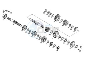 SENDA SM - 125 drawing GEAR BOX