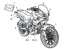 CANYON 500 drawing LABEL LUCKY EXPLORER