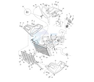 XT Z TENERE 660 drawing RADIATOR AND HOSE