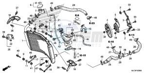 CBR600RRD CBR600RR UK - (E) drawing RADIATOR