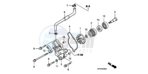 TRX450ER9 Australia - (U / SEL) drawing WATER PUMP