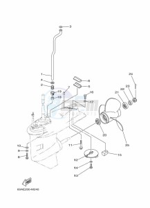 F50DETL drawing LOWER-CASING-x-DRIVE-2