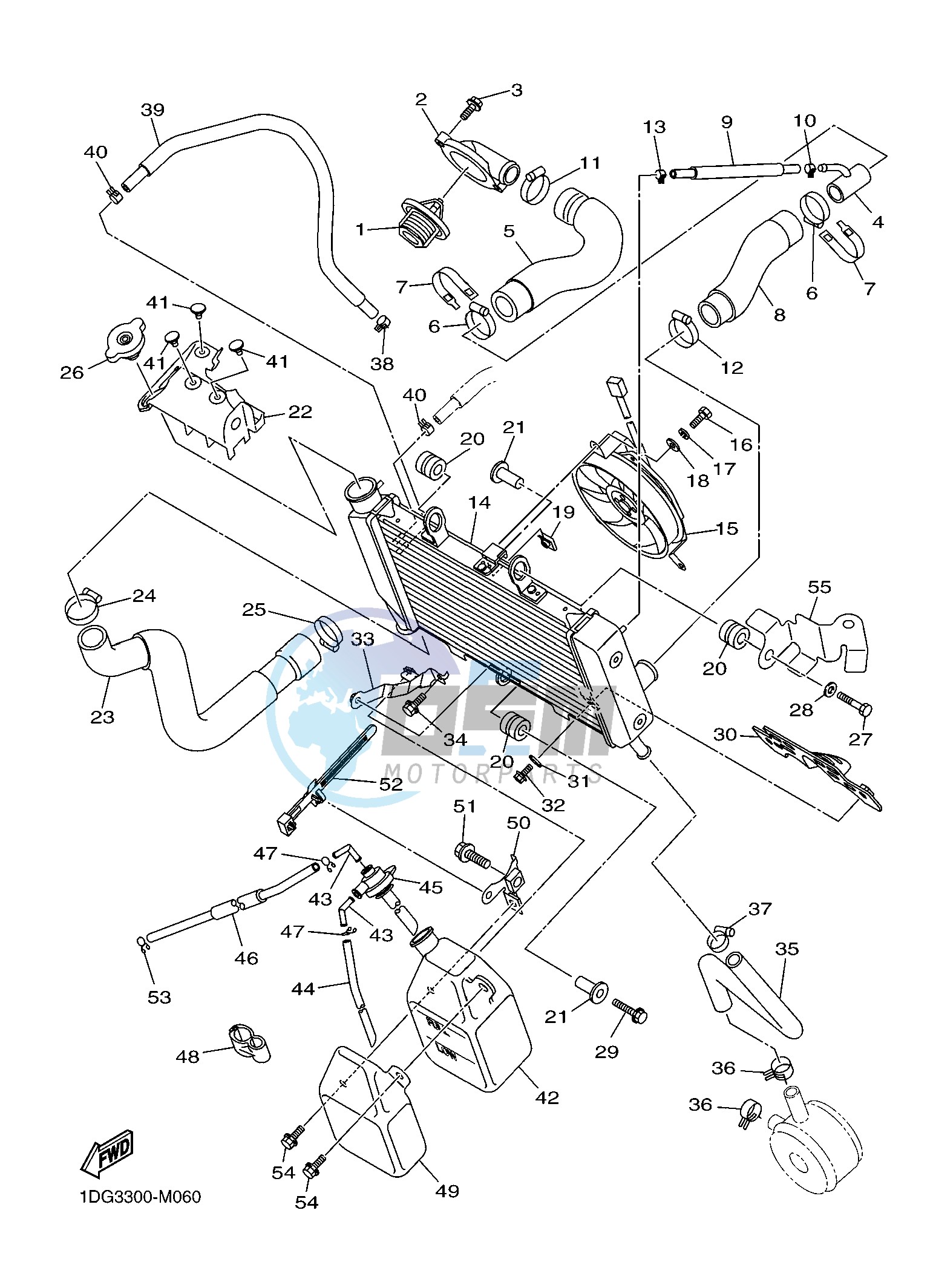 RADIATOR & HOSE