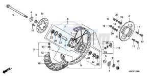 CRF150RB9 Australia - (U) drawing REAR WHEEL