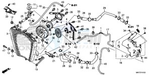 CBR1000S1H 2ED - (2ED) drawing RADIATOR