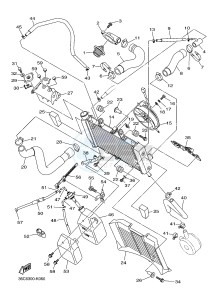 XJ6S 600 DIVERSION (S-TYPE) (36CL 36CM) drawing RADIATOR & HOSE