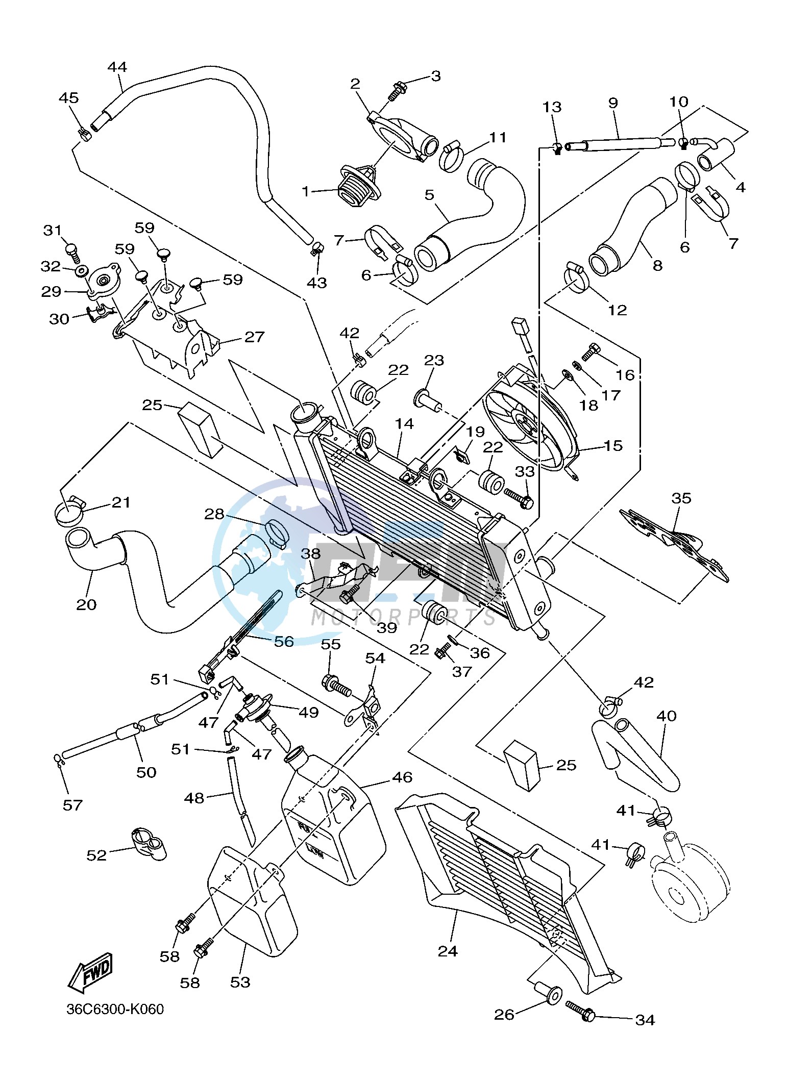 RADIATOR & HOSE