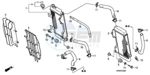 CRF250R9 Australia - (U / BLA) drawing RADIATOR