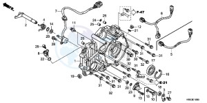 TRX500FMD TRX500FM Europe Direct - (ED) drawing REAR CRANKCASE COVER