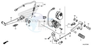 NC700SDE NC700SD 2ED - (2ED) drawing PEDAL