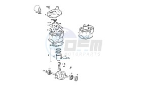 GPR REPLICA MALOSSI - 50 CC VTHGR1D1A 2T MALOSSI drawing CRANKSHAFT - CYLINDER