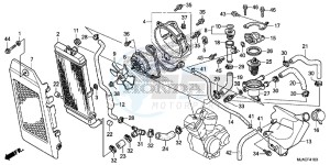 VT750C2BE Shadow - VT750C2B-E UK - (E) drawing RADIATOR (VT750CS/ C2B/ C2S/ C)