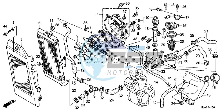 RADIATOR (VT750CS/ C2B/ C2S/ C)