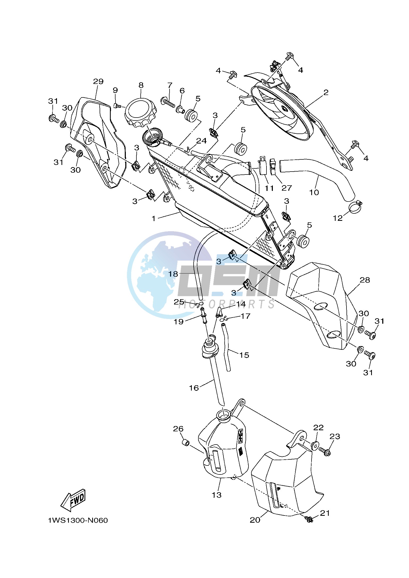 RADIATOR & HOSE