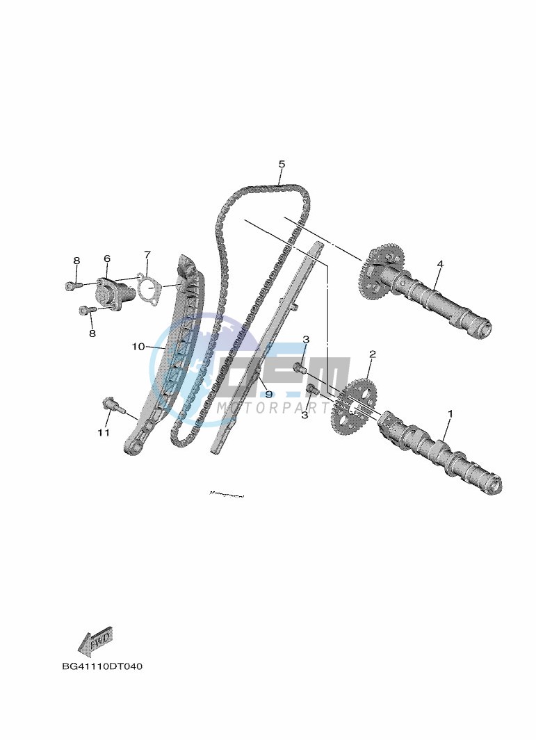 CAMSHAFT & CHAIN