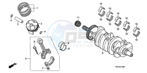 CB600FAA France - (F / ABS CMF) drawing CRANKSHAFT/PISTON