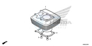 TRX250TMH Europe Direct - (ED) drawing CYLINDER