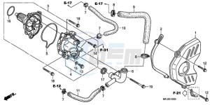 CBR600RA9 France - (F / ABS CMF) drawing WATER PUMP